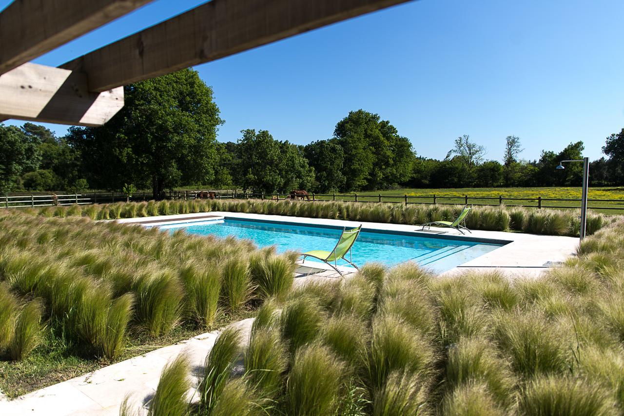 Les Cinq Sens Du Chateau Mayne Lalande Hotel Castelnau-de-Médoc Eksteriør billede